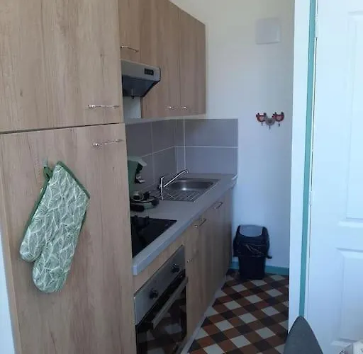 Appartement Le Vigeant 公寓 *